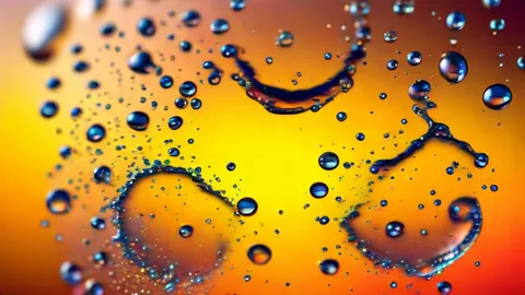 Alcohol y metabolismo: cómo reduce la quema de grasa un 70%