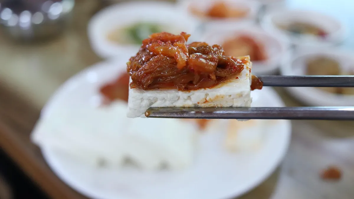 un tofu, un kimchi de tofu, une cuisine coréenne, un kimchi, un plat de côté, une haricots, coréen, Corée, délicieux, aliments délicieux, aliments sains, un fro