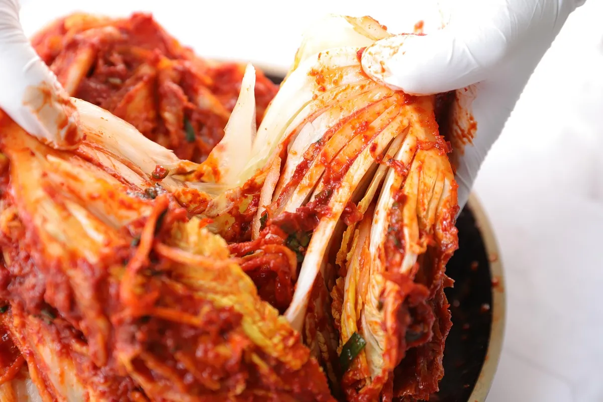 kimchi, meal, dish, cuisine, food, korean, kimchi, kimchi, kimchi, kimchi, kimchi