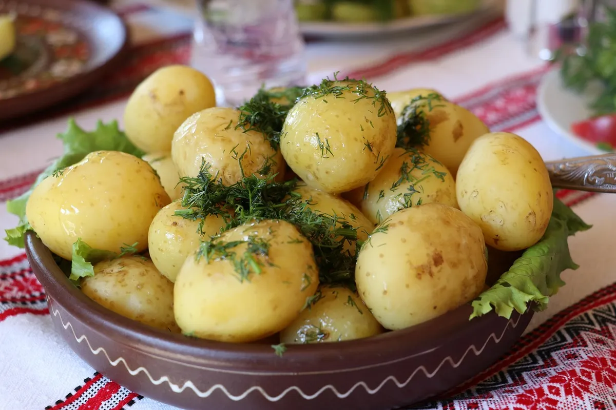 ukrainian dill potatoes, potatoes, vegetable, dill, food, dish, cuisine, meal, lunch, dinner, healthy, traditional, culture, russian, ukrainian, potatoes, potat