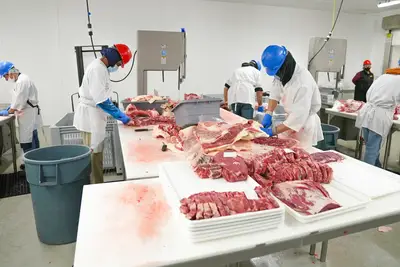 ¿Cómo se gestiona la seguridad alimentaria y la industria?