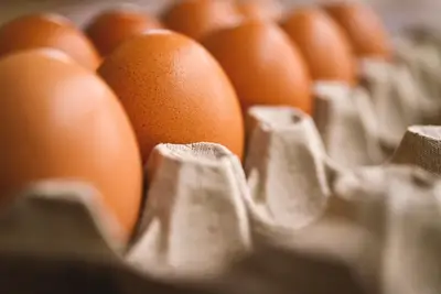 Food Research Institute mission: 37% of emissions from food