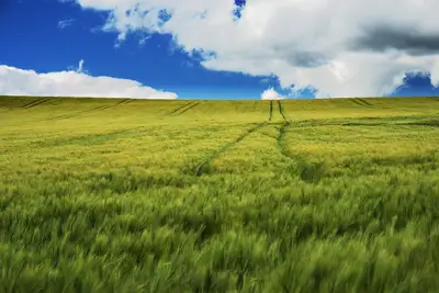 Agrarfinanzpolitik (Agricultural Financial Policy Division)