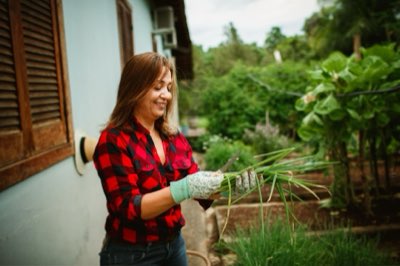 Sazonalidade: tips para aproveitar o auge de cada colheita